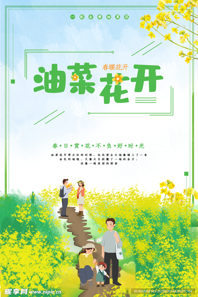 油菜花开