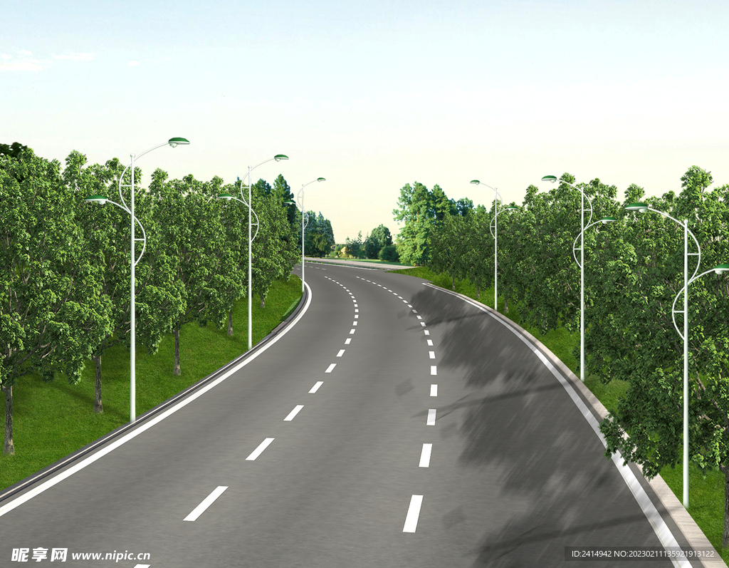  场地 道路 树种 