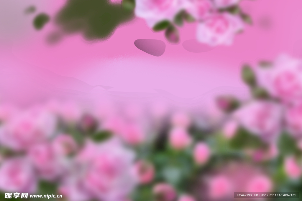 鲜花背景溶图