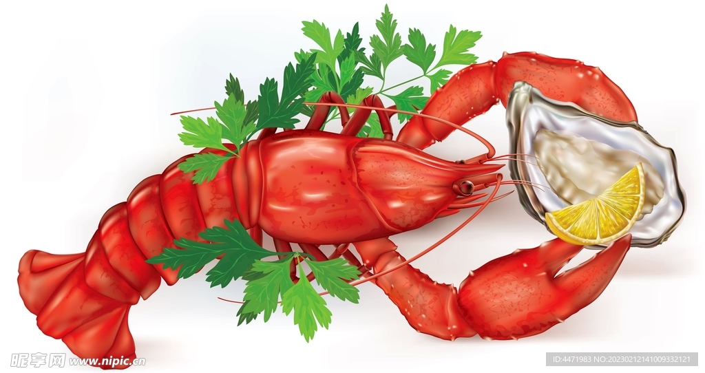 矢量小龙虾 