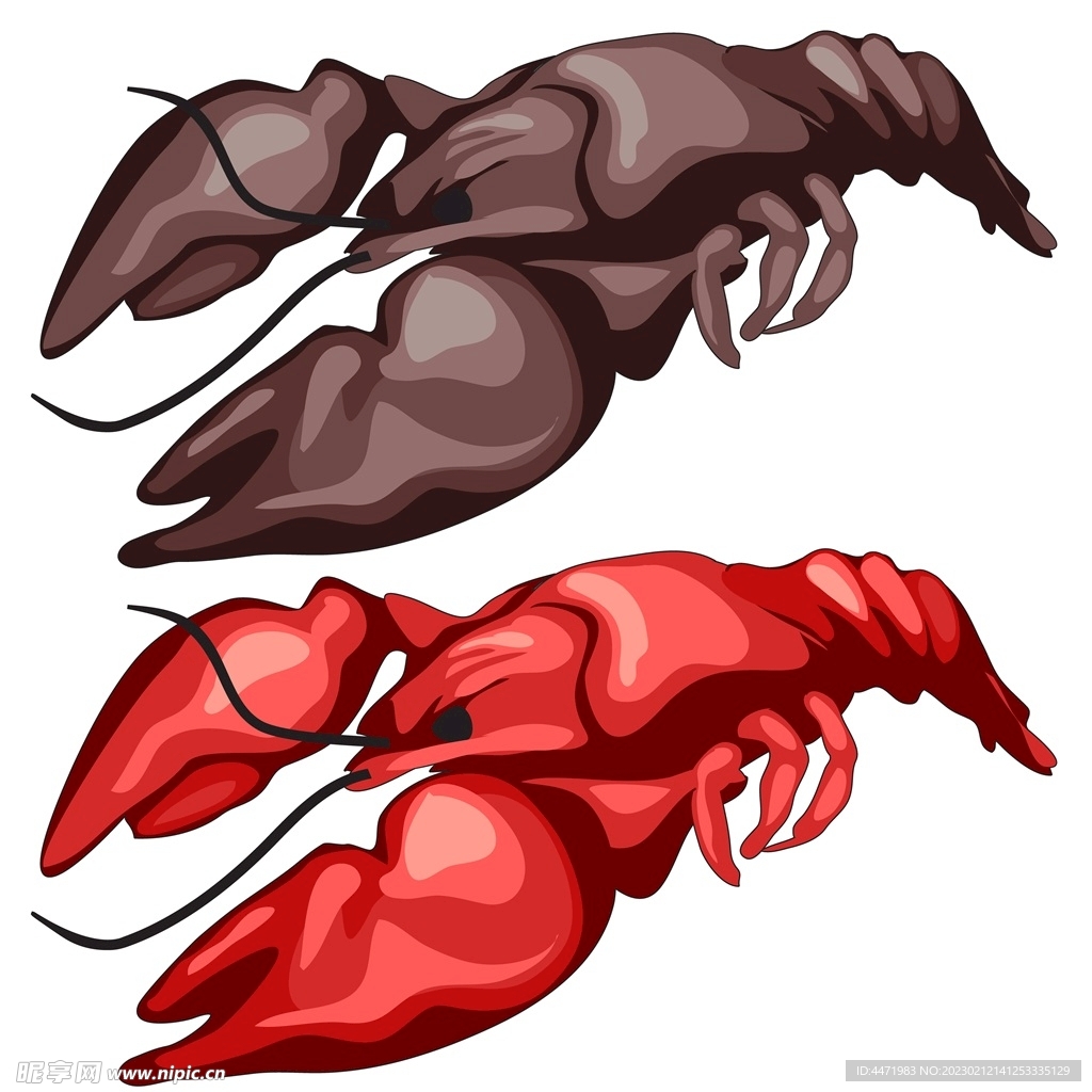 矢量小龙虾 
