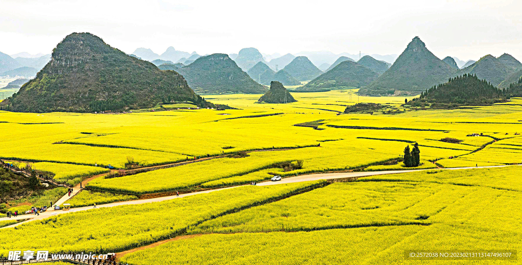 罗平油菜花景区