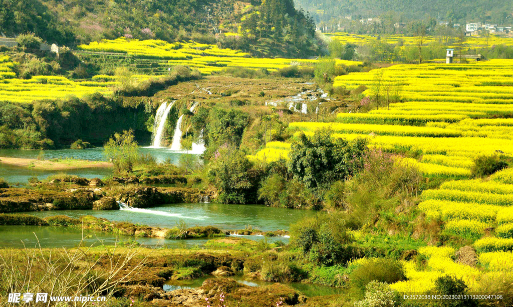罗平油菜花景区