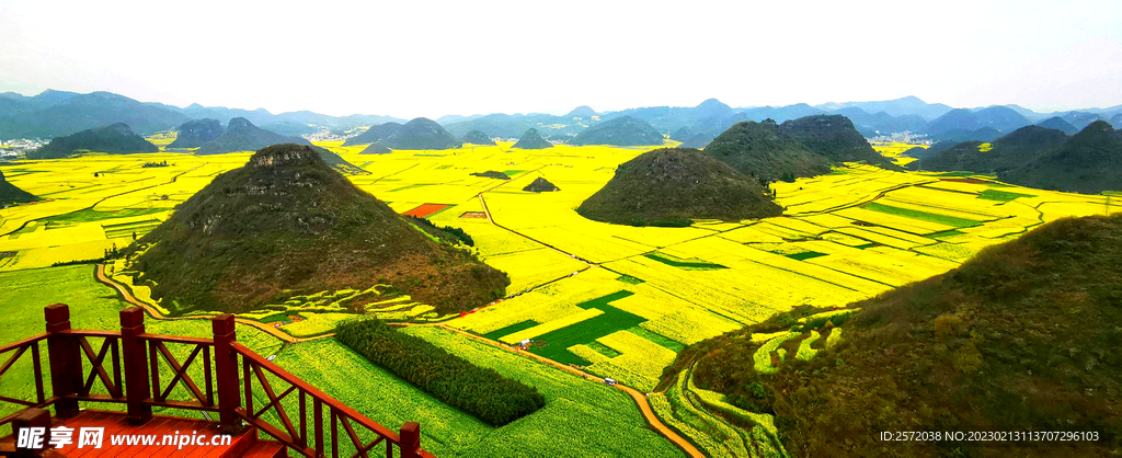 罗平油菜花景区