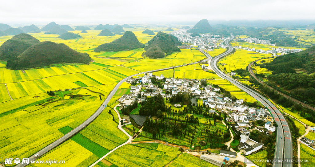 罗平油菜花景区