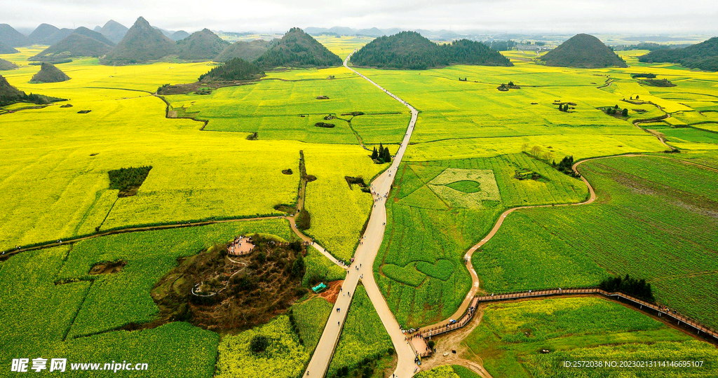 罗平油菜花景区