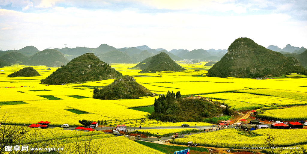 罗平油菜花景区
