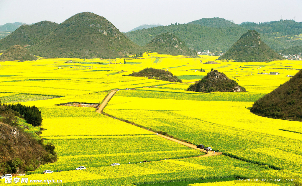 罗平油菜花景区
