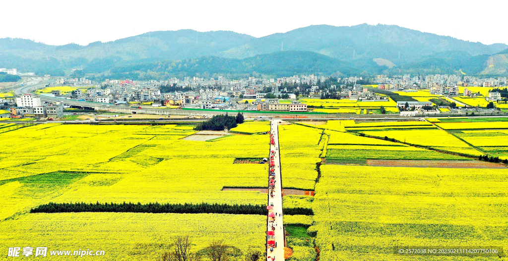 罗平油菜花景区