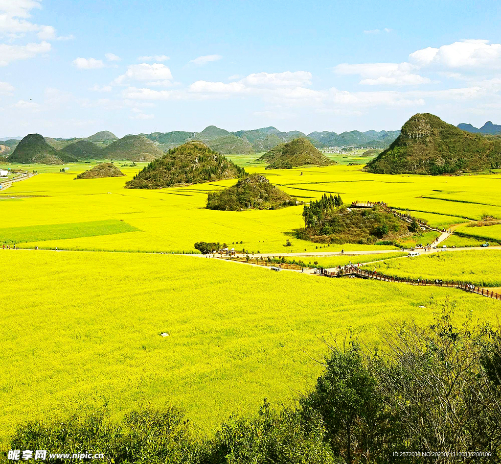 罗平油菜花景区