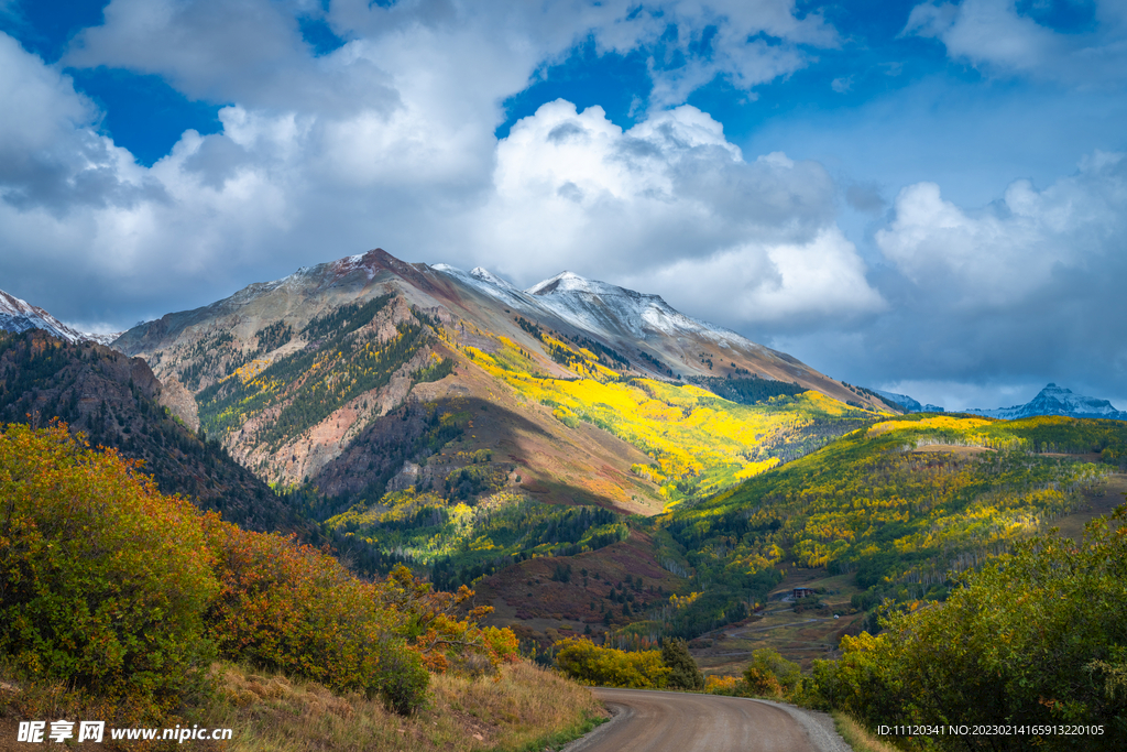 山间道路花草植物风景摄影