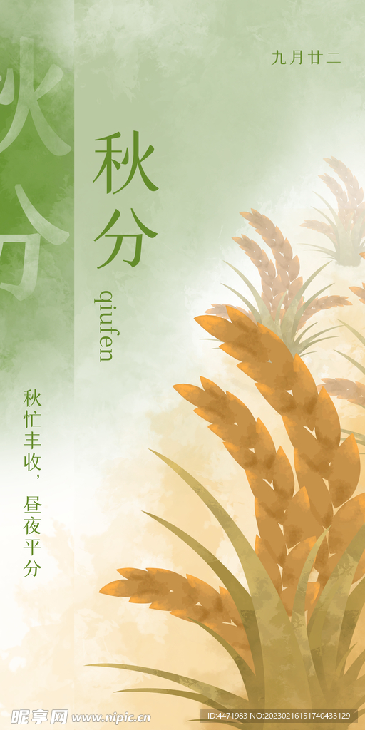 秋分手绘插画 