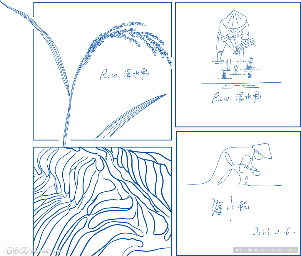 水稻简笔画