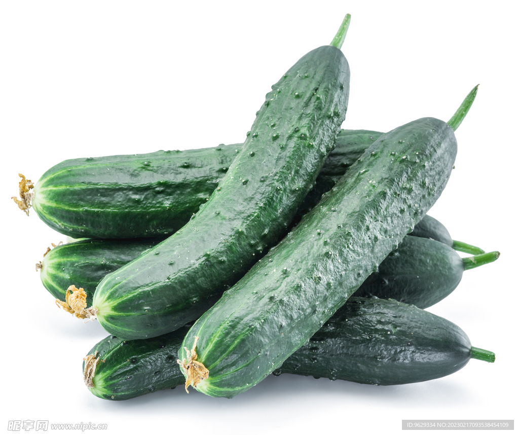 黄瓜