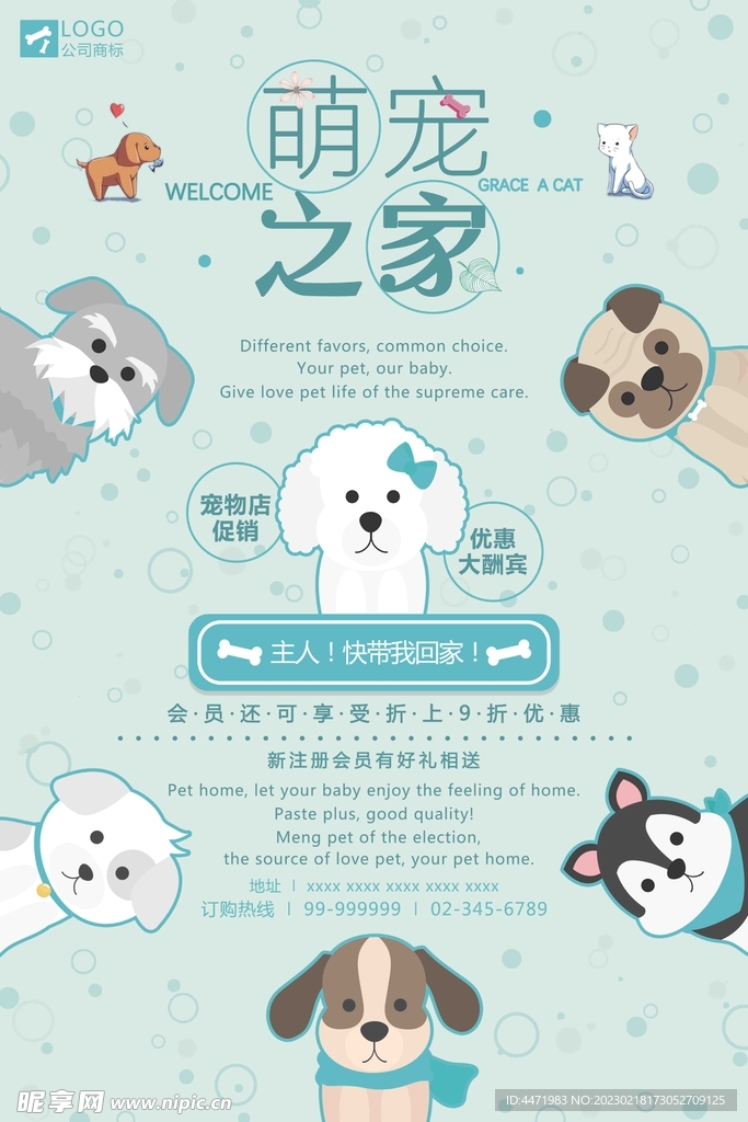 宠物店海报.