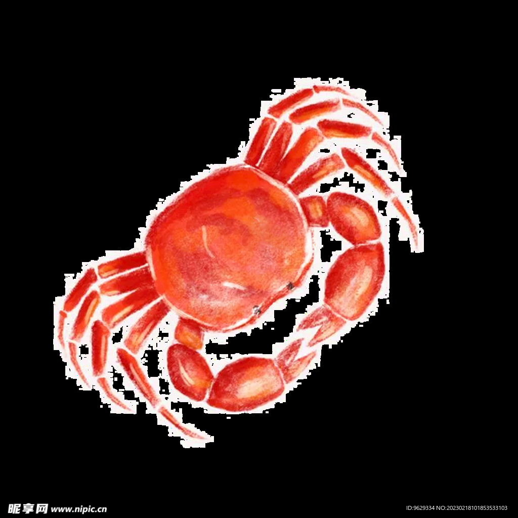 大闸蟹插画 