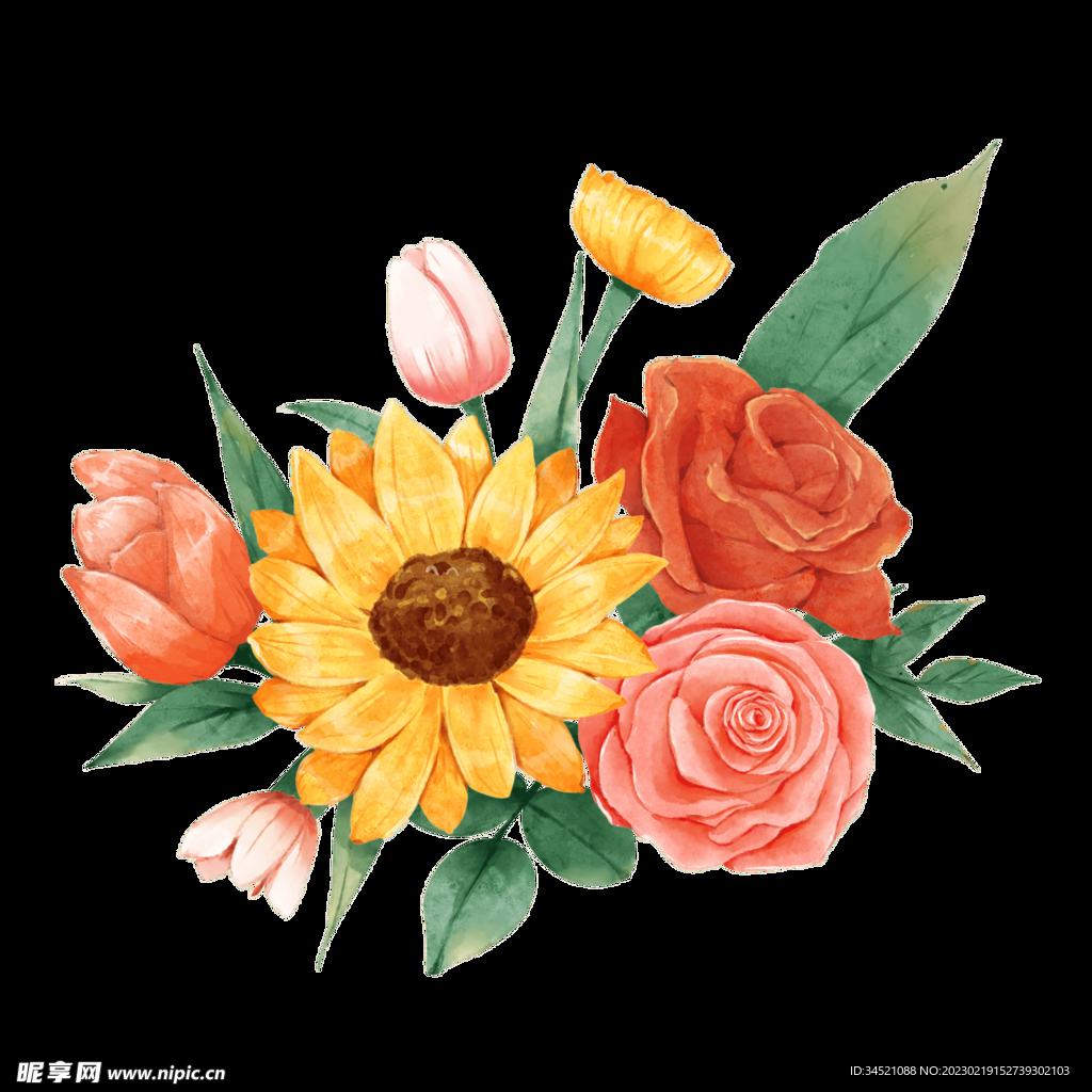 向日葵玫瑰花卉