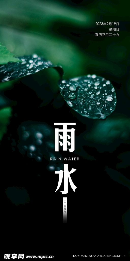 雨水
