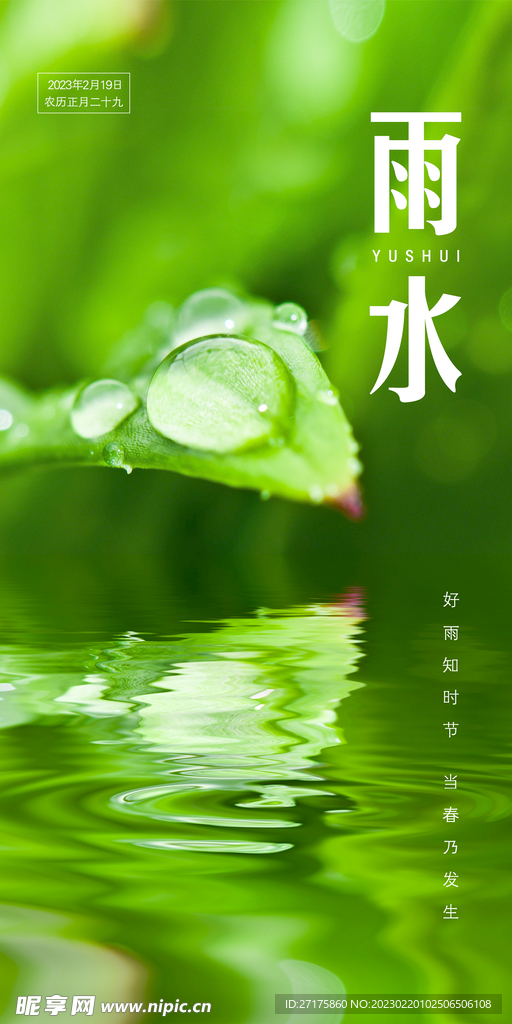 雨水