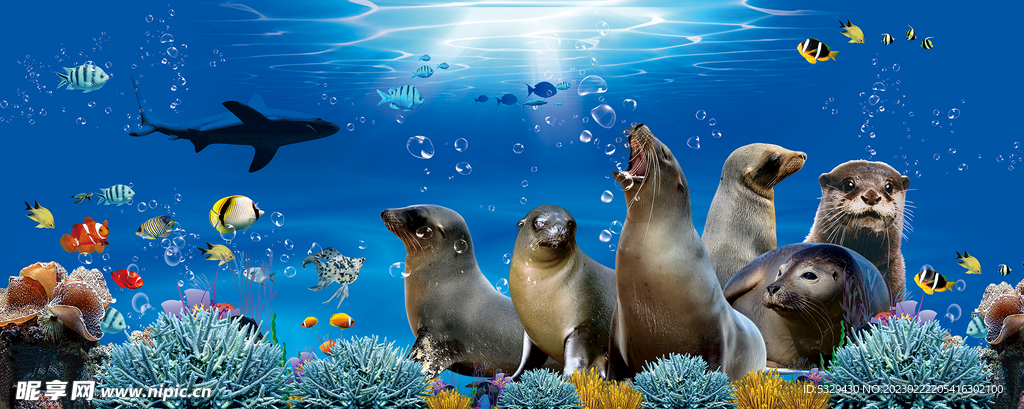 海狮表演活动海报 夏季 清凉 