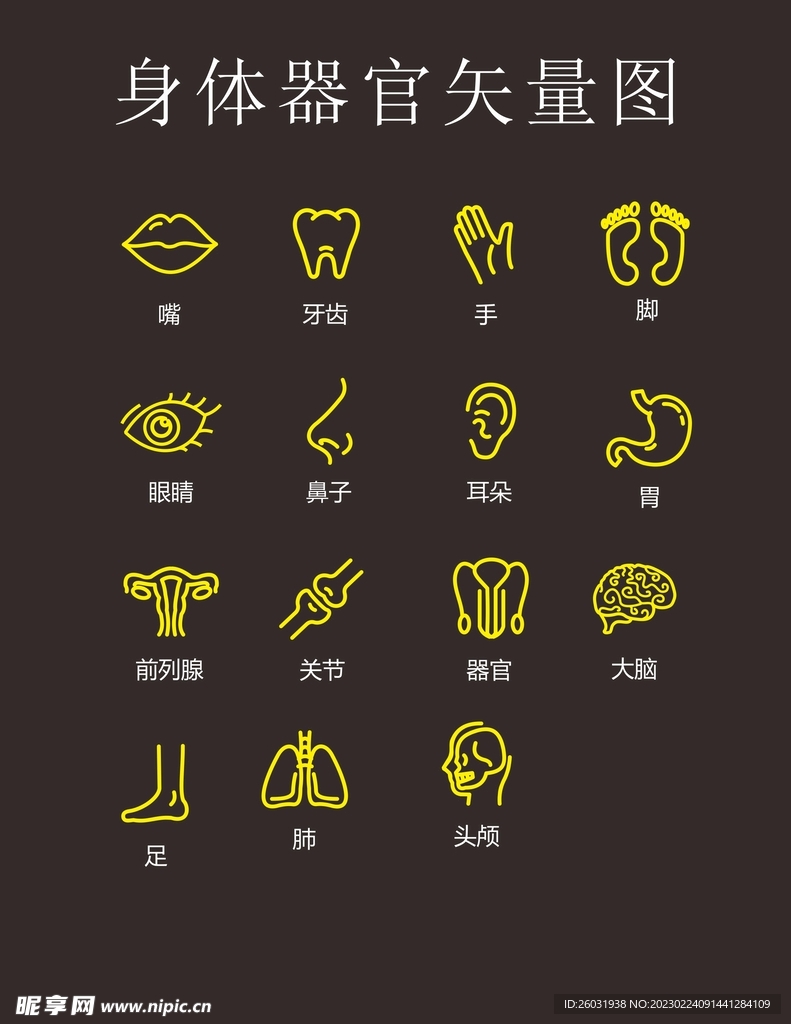 身体器官矢量图标