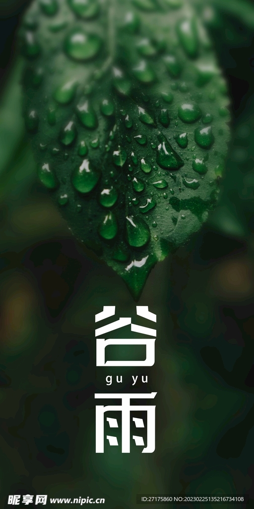 谷雨
