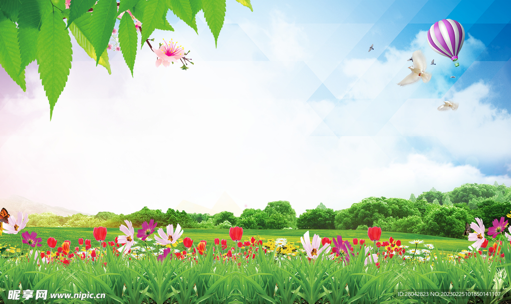 蓝天白云草地花朵