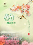 春分小清新春天花燕子传统节气海
