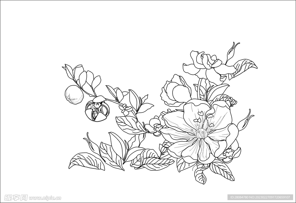 茶花线稿分层可编辑