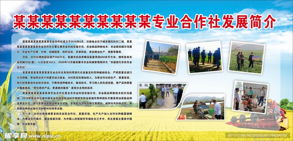 合作社发展简介