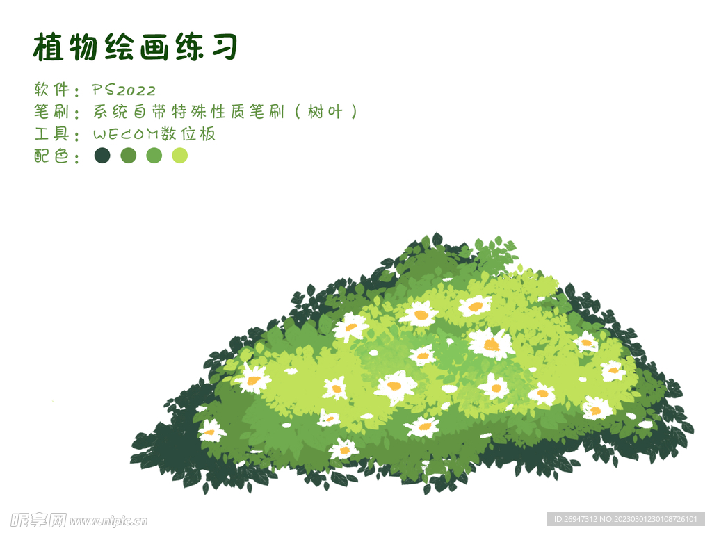 灌木从小白花植物手绘小清新