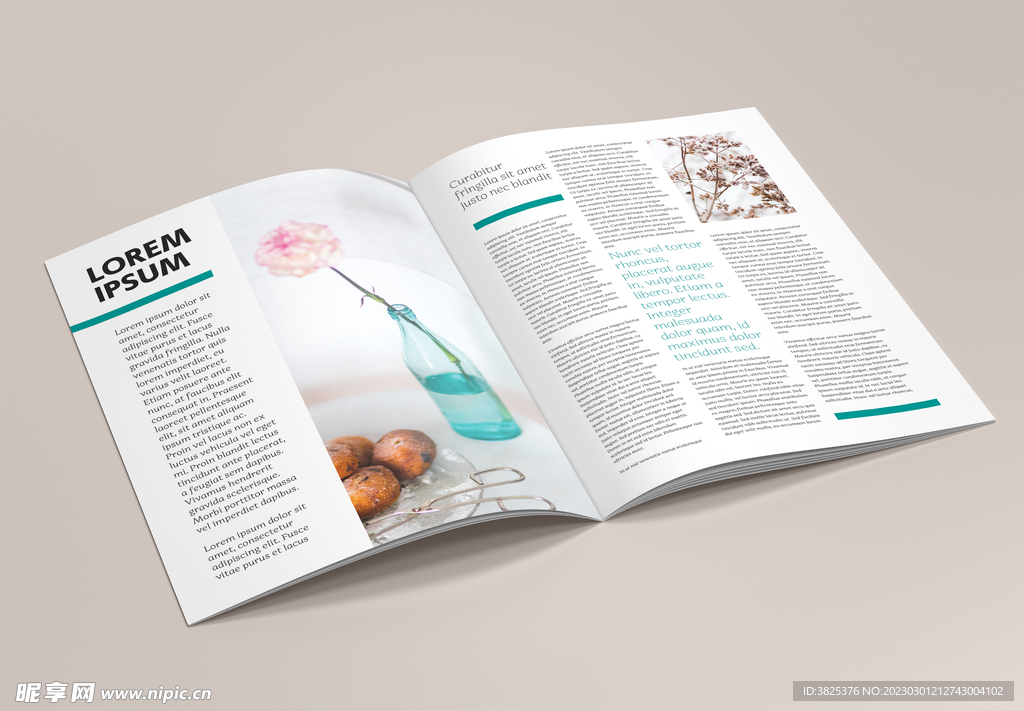 A4书本杂志画册展示样机模板