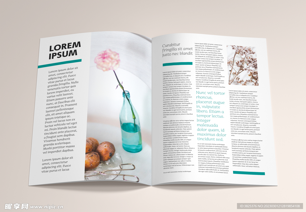 A4书本杂志画册展示样机模板