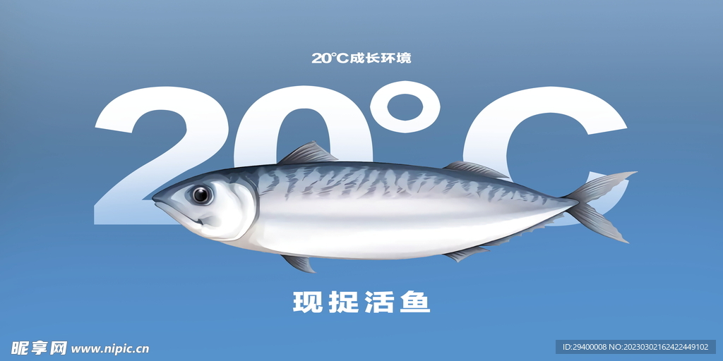 超市活鱼展示展板