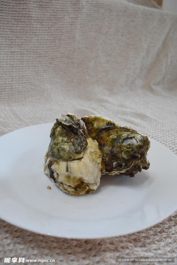 生蚝在白色盘子上