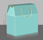 屋顶纸箱效果图 加高