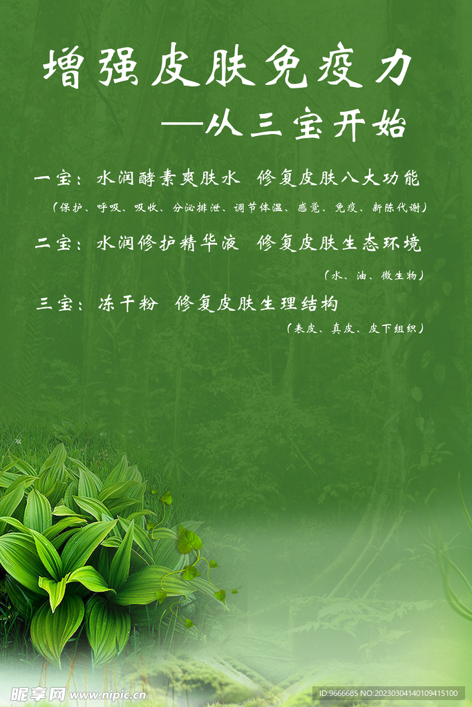 护肤品 三宝 美容广告