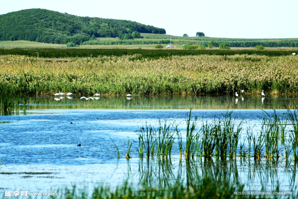 黑龙江富锦国家湿地公园