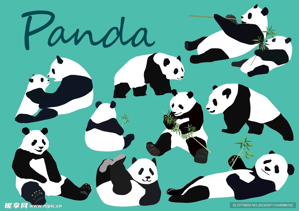 矢量熊猫