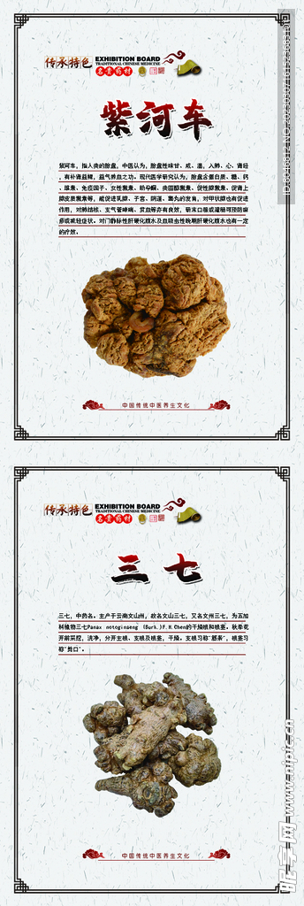 中药海报