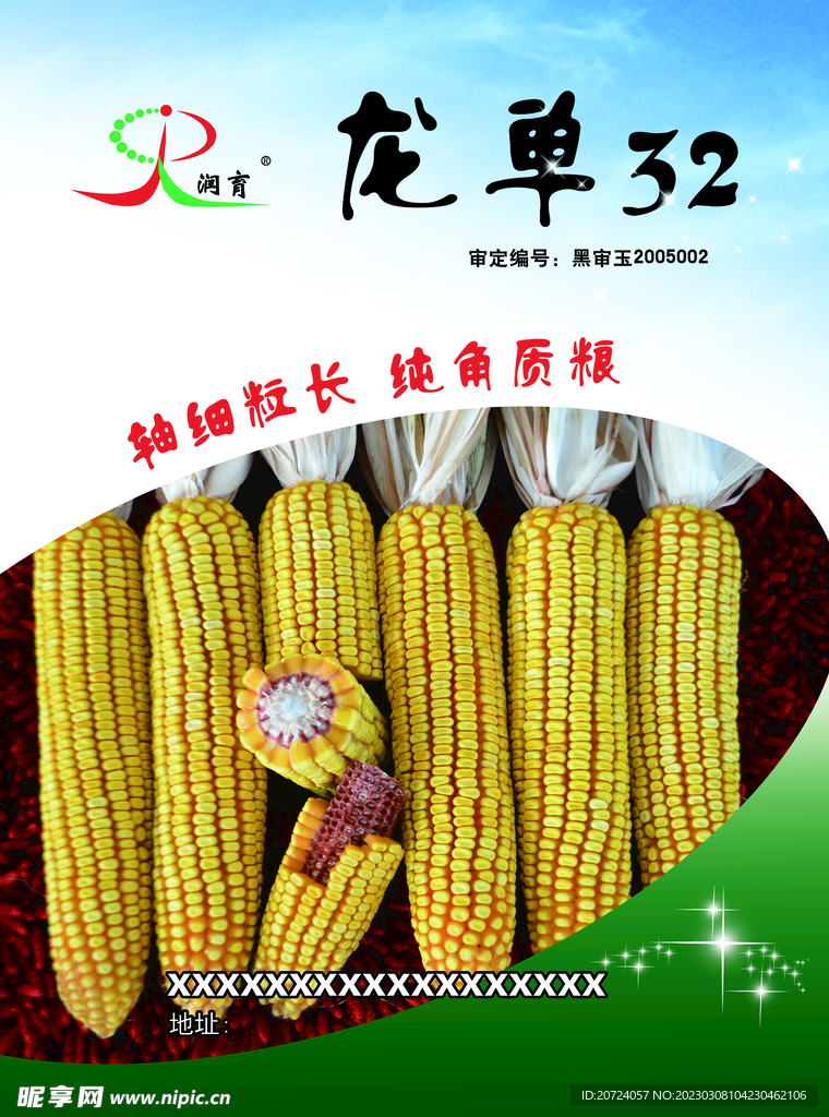 玉米种子宣传单