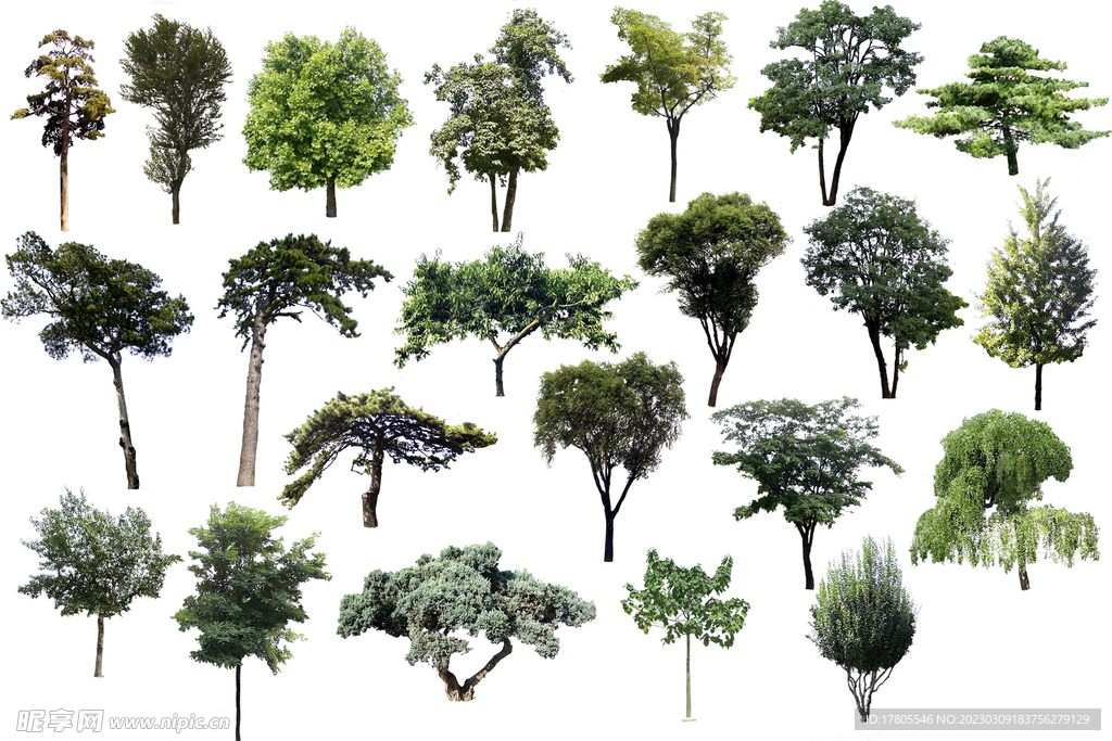 植树节海报  展板 保护环境 