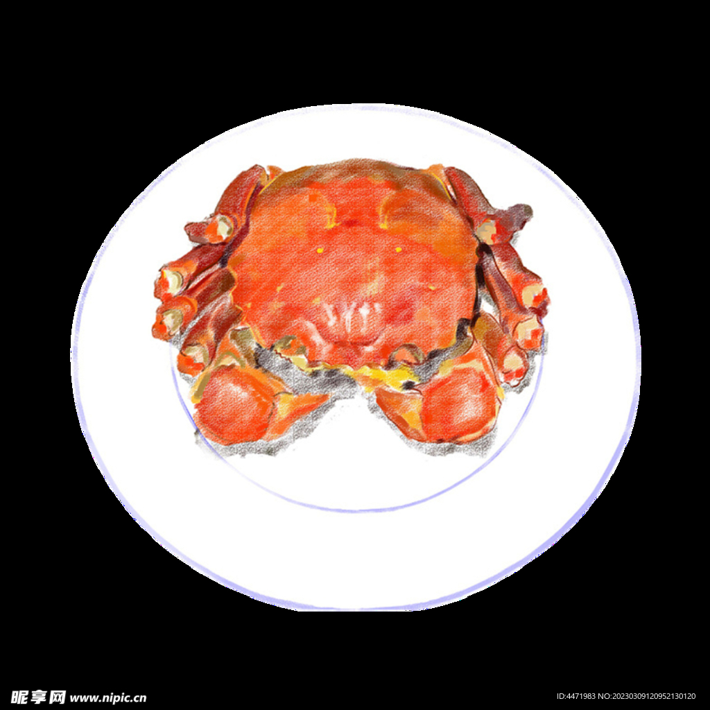 手绘清蒸大闸蟹