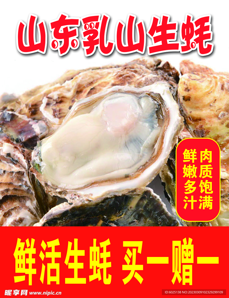 生蚝广告