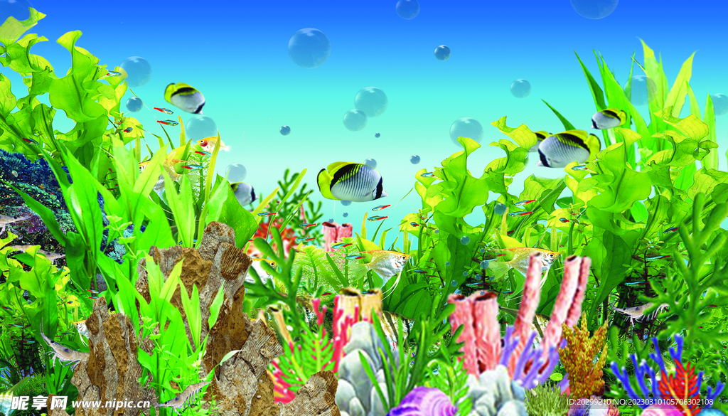鱼缸背景图