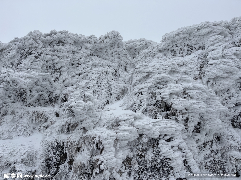 雪景