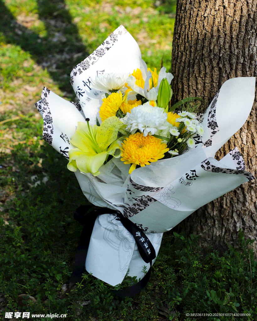 清明节 鲜花 花朵 拍摄 摄影