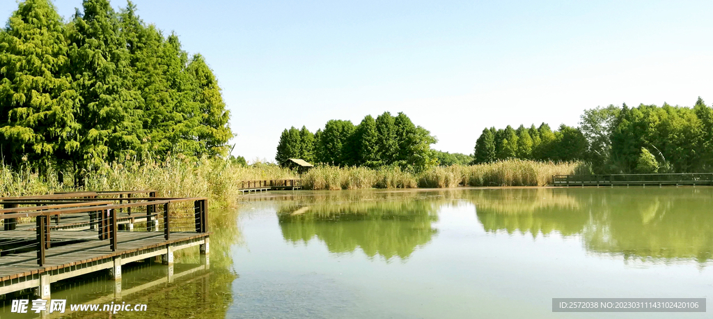 江苏苏州太湖国家湿地公园
