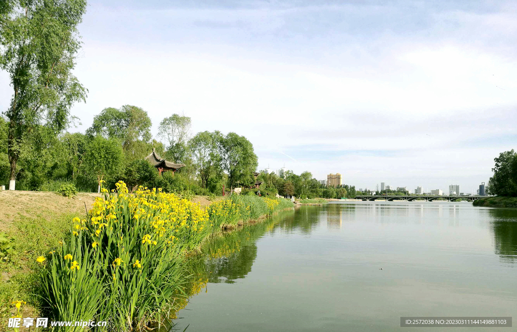 山西太原汾河湿地公园