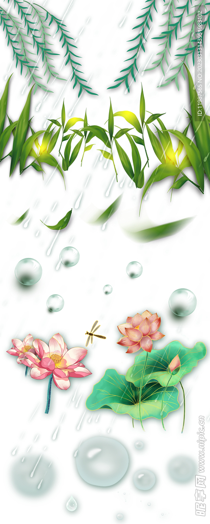 夏天春天元素气泡绿草荷花雨滴柳
